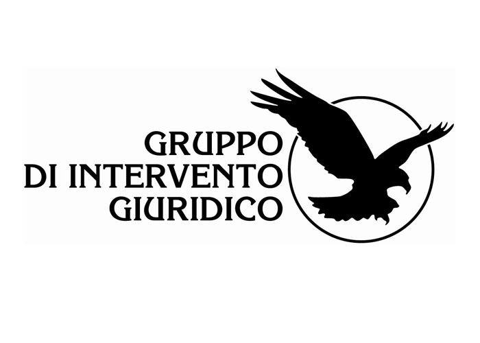 Gruppo d'Intervento Giuridico onlus