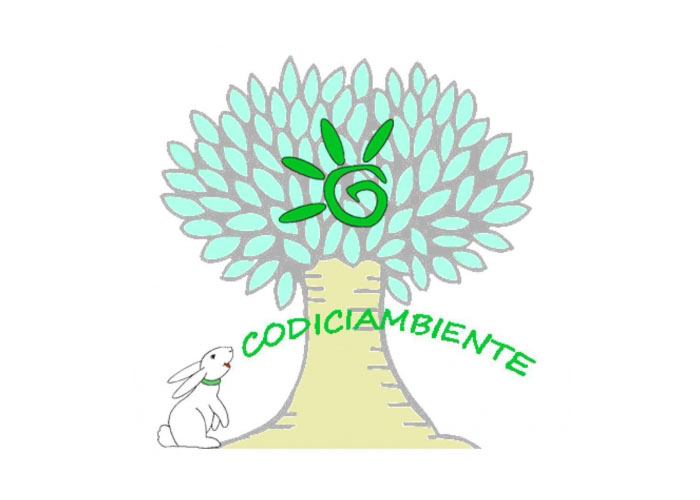 Associazione Codiciambiente